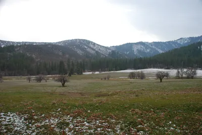 Yreka - 12 - 23 - 2007a (Large).jpg